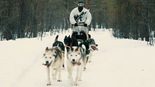 Commandos look to huskies on the Arctic battlefield 28032024 CREDIT Royal Navy