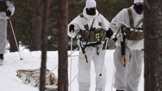 Commandos look to testing huskies on the Arctic battlefield