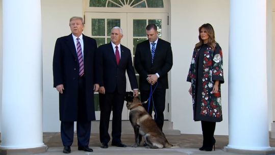 Conan dog presented at White House 251119 CREDIT POOL