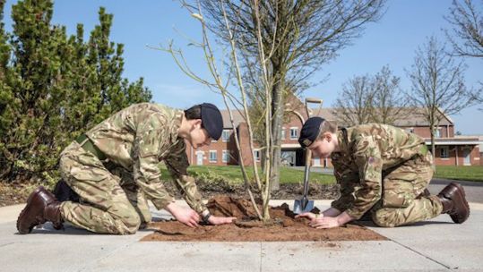 Cover image: Junior soldiers plant one of the trees at the Army Foundation College Harrogate (Picture: MOD).