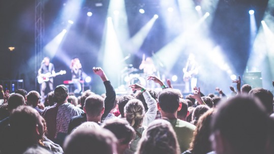 Crowd Gig Music Performance Band Audience pexels.com