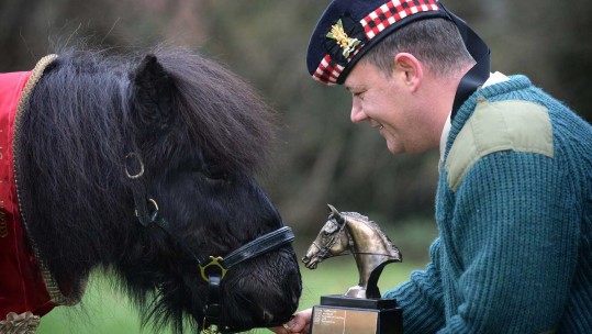 Regiment's Retired Shetland Pony Mascot Dies