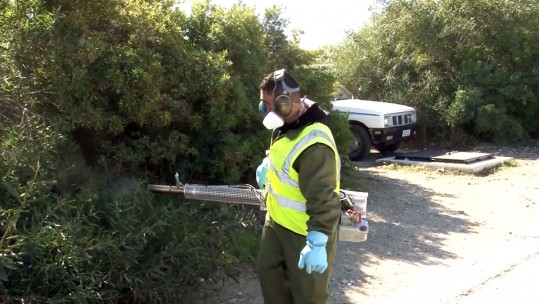 Fighting Mosquitoes In Cyprus