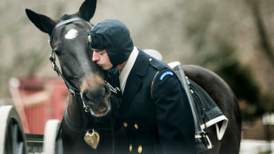 Horse and rider at Cemetery USA