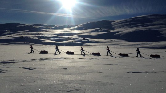 Ice Maidens 
