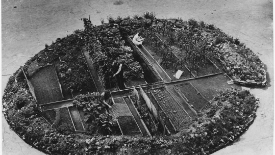 London Victory Garden, WWII