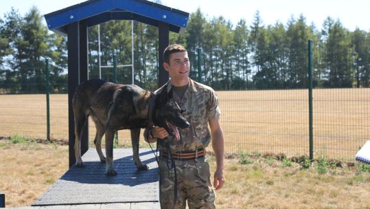 Dogs of Operation Pitting one year on , 1 MWD Regiment 110822 CREDIT BFBS.
