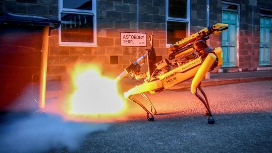 A carbon fire disruptor robotic dog has been trialed by the Defence Science and Technology Laboratory to neutralise bombs and explosive threats at a distance (Picture: MOD)