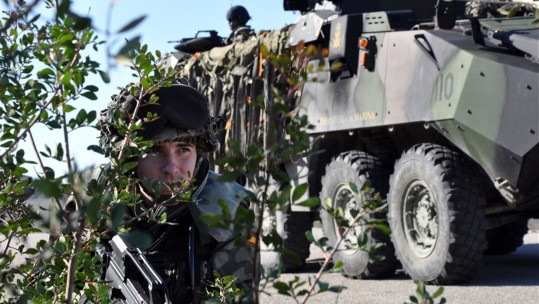 The Spanish Military: In Numbers