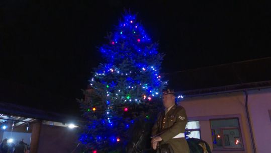 Erskine Tree of Honour