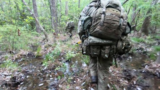 Ex Rattlesnake Fort Polk Louisiana CREDIT BFBS