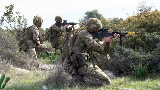 Back To Basics For Soldiers On Ex Lions Sun