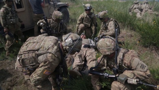 Exercise Anakonda: Working Together On Mass Casualty Evacuation