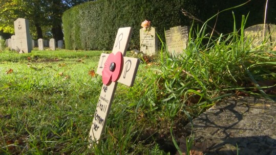 RAF Halton cadets have placed remembrance crosses on over 200 war graves in Buckinghamshire.