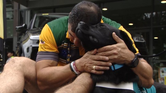 Invictus dogs