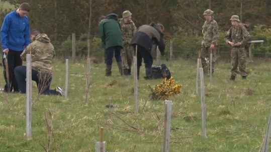 Cadets Plant Somme Memorial Woodland 