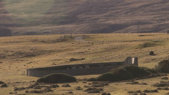 Falklands still.