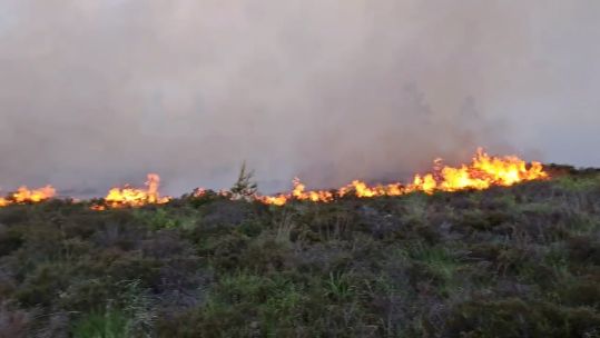 Fire caused at Longmoor Army Camp by British Army training 290623 CREDIT Hartley Wintney Fire Station