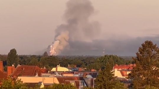 Fireworks and WW2 ammunition exploding in the Grunewald forest, Berlin 04082022 CREDIT @FloWendelborn