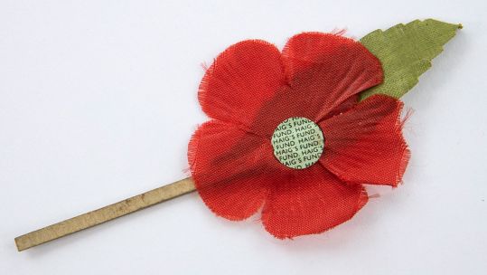 Flanders Poppy Red Flower Haig's Fund Credit Royal British Legion