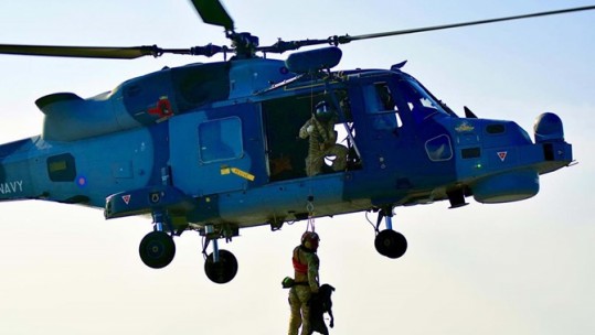 Flying Dogs (Credit: Royal Navy)