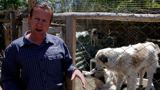 Former Marine Pen Farthing, Nowzad founder, Kabul, 010521 CREDIT Alamy, REUTERS,Omar Sobhani .jpg