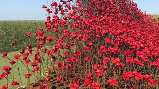 Stunning Poppy Sculpture At Fort Nelson Honours The Fallen