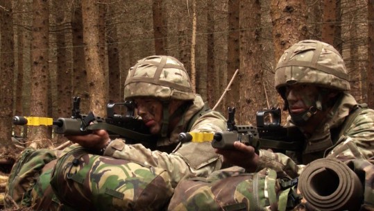 Do You Have What It Takes To Be In The Reserves?
