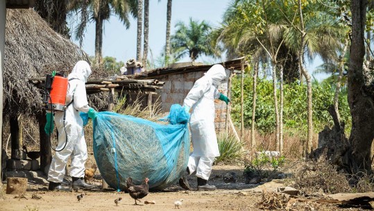 Sierra Leone Declared Ebola Free