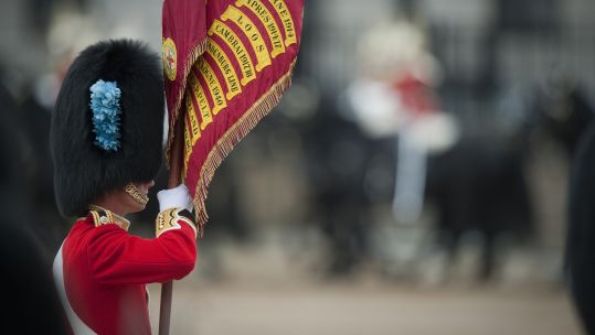 Guardsman of the 1st Battalion The Irish Guards holds the Regimental Colours (Picture: MOD).