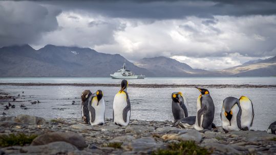 HMS Forth in South Georgia with Penguins in foreground (Picture: MOD).