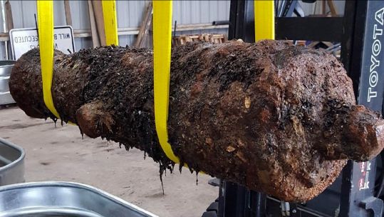 Cover image: A cannon believed to be from HMS Rose (Picture: Royal Navy). 