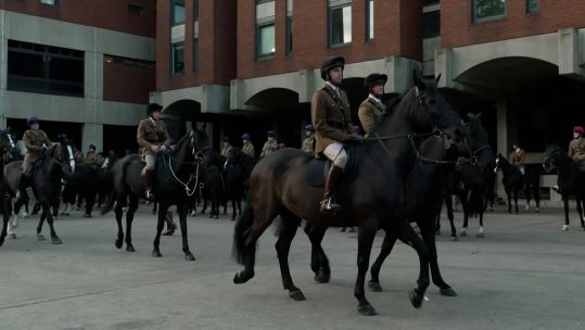 Horses get their morning exercise
