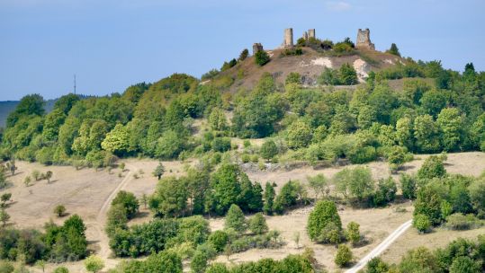 Hohenfels Training Area in Germany 180822 CREDIT US DEPARTMENT OF DEFENSE