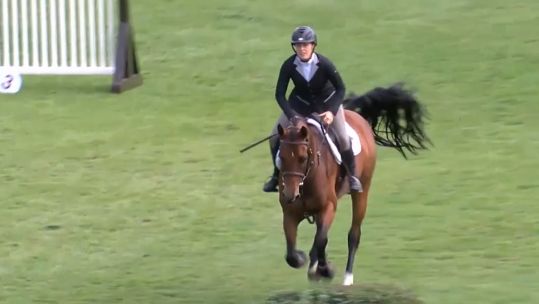 Holly Hall Equestrian Credit Clipmy HorseTV 07092020.jpg 