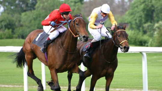 Horse Racing