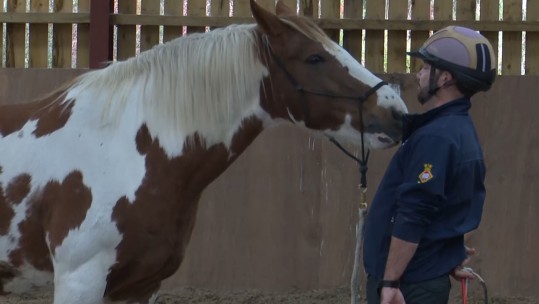 HorseBack UK