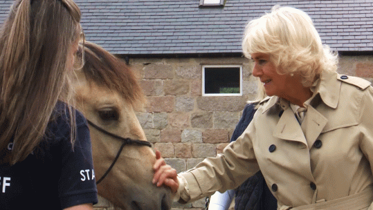 Horseback-UK-Camilla-Duchess