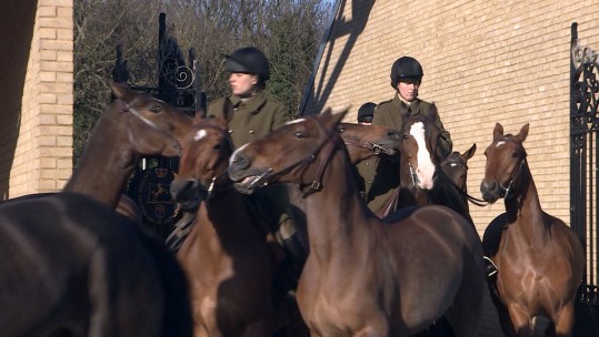 Meet The Women Of The Royal Horse Artillery
