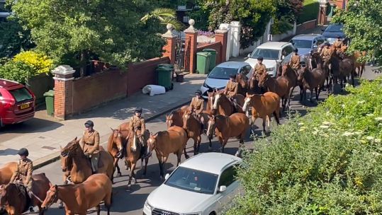 Royal Horse Artillery exercise in London's streets ahead of Trooping the Colour
