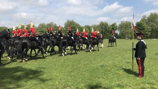 House Cavalry Mounted Regiment in Hyde Park during inspection ahead of Queen's birthday parade