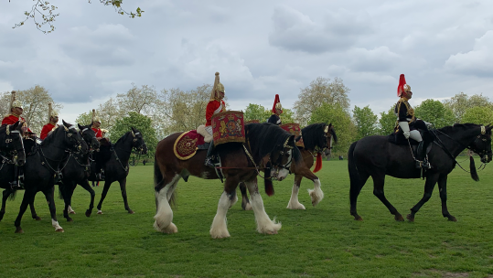 Household Cavalry Major General's annual inspection 250424 CREDIT BFBS
