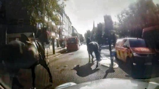One of the Household Cavalry Mounted Regiment horses sustained minor injuries in the incident (Picture @Davenoisome via PA)