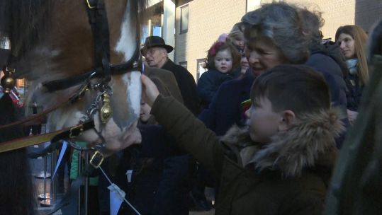 Household Cavalry at the National Army Museum 040219 CREDIT BFBS.jpg	