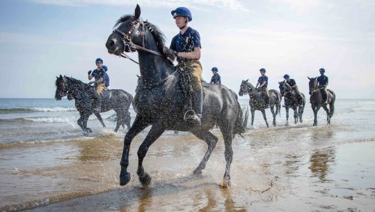 Household Cavalry horses and riders on beach in Norfolk (Picture: British Army).
