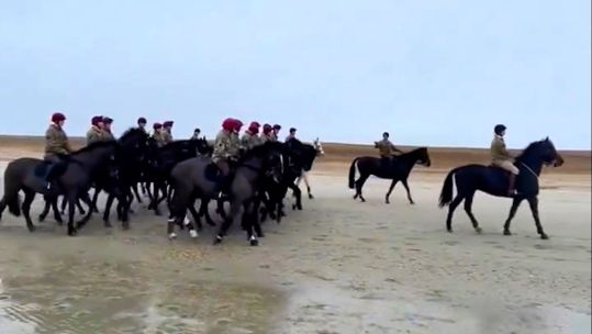 Household Cavalry takes horses to Hayling Island Beach CREDIT @ArmyInLondon Twitter