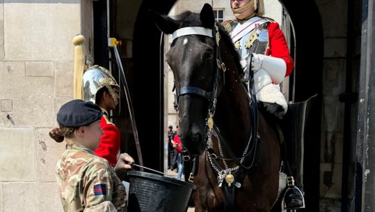 How the Household Cavalry horses remain cool in a UK heatwave