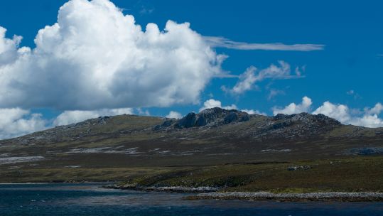 Shores of the Falklands Falkland Islands