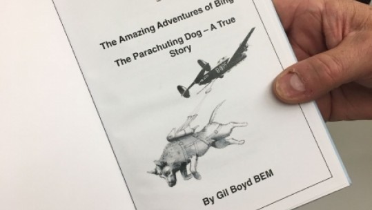 Bing The Para Dog