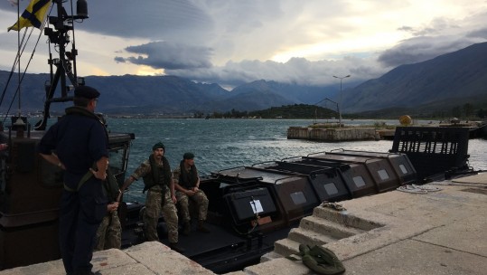 Exercise Albanion Lion In Pictures
